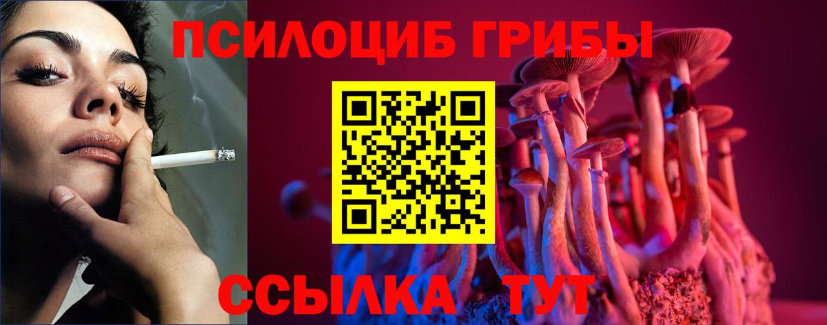 Псилоцибиновые грибы Magic Shrooms Стрежевой